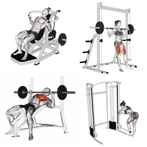 +100 Planilhas de Treino e Vídeos